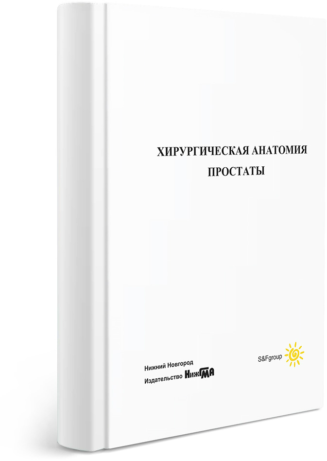 Хирургическая анатомия простаты